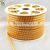 SMD 5050 Rope Strip Light thumbnail-4