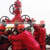 API Standard Oil and Gas Production Wellhead Single Stage Casing Head Double Stage Casing Head