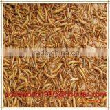 Top Quality Bulk Chicken Feed Dried Mealworms Insects thumbnail-4