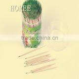 High Quality Mint Bamboo Toothpciks In Different Package