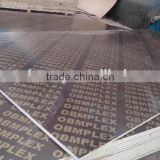Shandong linyi factory of brown film faced plywood