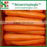2016 Best Quality Fresh Red Carrots thumbnail-2