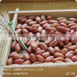 Bold Long Type Blanched Red Skin Peanut Kernels Without Shell