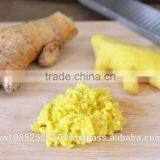 Frozen Ginger - High Quality From Vietnam (puree / Whole) thumbnail-2
