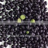 Medium Black bean/black soya bean/black soybean with green kernel