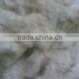 Cotton Linter 1st Cut thumbnail-1