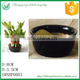 Lucky Bamboo Ceramic Flower Pots