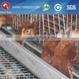 Types of Poultry House With Egg Collection System Machine thumbnail-3