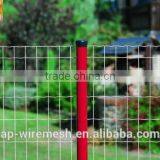 Low Cost Dutch Mesh Fence / Pvc Coated Wire Mesh Fence