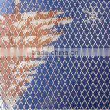 Expanded Mesh