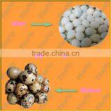 Thoyu Brand Salable Quail Egg Shell Peeler Machine(SMS:0086-15903675071) thumbnail-1