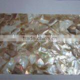 Brown Penguin Mother of Pearl Shell Veneer