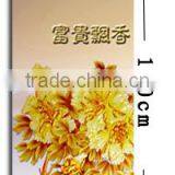 TUV GS CE ROHS SAA IP54 2016 Wall Ceiling Bottom Price 360w 600w 720w 960w 1200w Infrared Panel Heater thumbnail-5