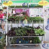 Hot Sale Outdoor Wooden Flower Display Cart thumbnail-1