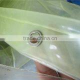 Agricultural Anti Aging uv Protection Greenhouse Plastic Film for Mushroom Growing thumbnail-1