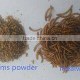 Dried Mealworms Powder /Tenebrio Molitors for Pets thumbnail-2