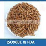 Fish Food,Koi Food Mealworms thumbnail-1