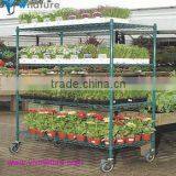 New Style Metal Display Stand ,garden Decoration Plant Shelf From Shenzhen to Wordwhile thumbnail-1
