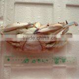 Frozen Quality Cooking Crabs thumbnail-1