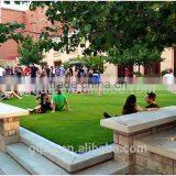 2017 New Two Green Colors Carpet Grass With Good Service thumbnail-1