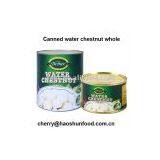 Canned Water Chestnut Whole in Brine Salty thumbnail-1