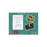 Fashion Parrot Cages/ Bird Home/Big Bird Cage With Play Gym thumbnail-2