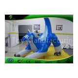 Outside Backyard Blue Inflatable Sea Dragon Toy For Siting / Riding