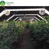 American Standard Automatic Light Deprivation Sliding Blackout Greenhouse thumbnail-2