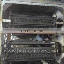 Best Sale Mesh Belt Dryer Drying Machine for Black Pepper thumbnail-5