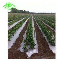 Factory Direct Sales of Silver Shine Plastic Mulch Films thumbnail-3