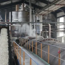 Sugar Plant From Sugar Beet thumbnail-6