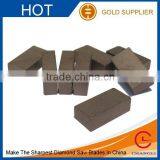 DIAMOND SEGMENTS FOR GRANITE for 350mm -3500mm, GRINDING SEGMENTS Diamond Segments Sandstone Segements thumbnail-4