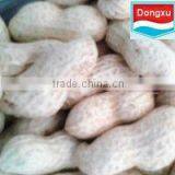 Organic Raw Peanuts in Shell
