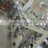 Automatic Automatic Powder Packing Machine Production Line thumbnail-4