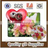 2015 Factory Supply Creative Lenticular PP/PET 3D Table Mat With Four Color Printing