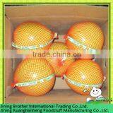 China Pomelo Low Price thumbnail-1