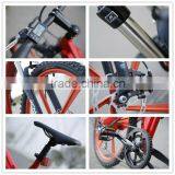 Flash,hot Sale 250w Mountain Electric Bicycle/bike Wheels Frame Triangle Battery thumbnail-5