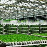 Vegetable-growing Greenhouse-commercial Greenhouses thumbnail-4
