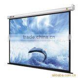 PVC Matt Projection Screen Fabric(pvc Embossing)
