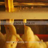 Automatic High Quality Poultry Nipple Drinkers thumbnail-1