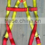 Safety Harness