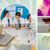 Biology Chick Embryo Microscope Slides thumbnail-1