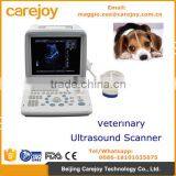 Veterinary Ultrasound Scanner Ultrasound Machine Vet Convex Rectal Probe for Animal Use RUS-9000BV thumbnail-1