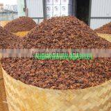 Star ani seed super autumn new crop 2012