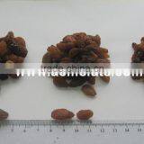 AAA Grade 95% Xinjiang Brown Raisin thumbnail-5