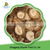 Chinese High Quality Frozen Shiitake And Law Price Hot Selling thumbnail-2