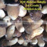 Iqf Porcini Whole With Cheap Price thumbnail-1