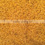 Hight Quality Split Green Mung Bean From Viet Nam for Sale thumbnail-2