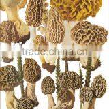 Shanghai Detan Affordable Dried Morel Mushrooms thumbnail-6