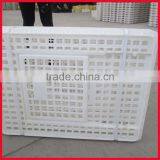 Plastic Poultry Transport Crate/chicken Transport Box thumbnail-3